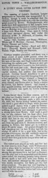 Match Report: Luton Town FC vs Wellingborough (7th Sep 1901)