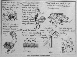 Match Report: Luton Town FC vs Plymouth Argyle (24th Sep 1921)