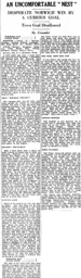 Match Report: Norwich City vs Luton Town FC (4th Apr 1931)
