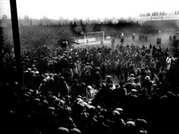 Spectators swarm on to the pitch at the end of the game