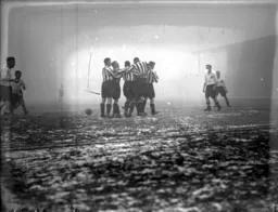 Sunderland players are relieved after netting an equaliser