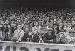 More restrained in the Bobbers