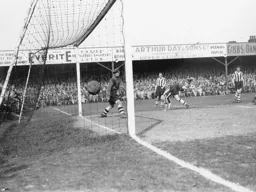 The ball is in the net and promotion is assured