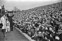 The Newcastle mascot fails to whip up the crowd