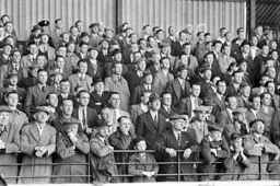 Watching from the Oak Road end