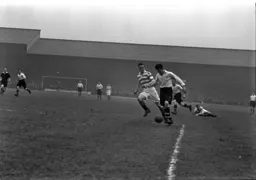 Joe O'Brien goes clear