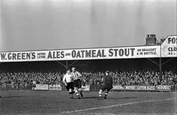 Mel Daniel puts pressure on the Owls defence