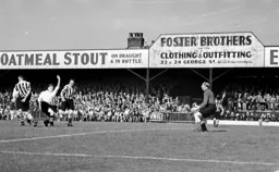 Everyone misses the ball