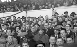 Make up your own caption!