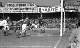 The famous 'dog on the pitch' photo