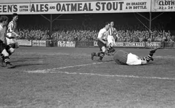 Tom Kiernan is left frustrated