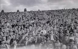 Kenilworth Road end crowd