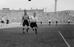 Jackie Whent challenges