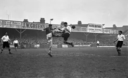 Willie Havenga challenges