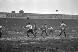 Bernard Moore waits for the ball to drop