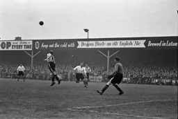 Brentford head clear