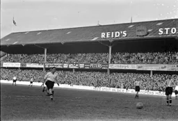 Jack Taylor chases a lost cause