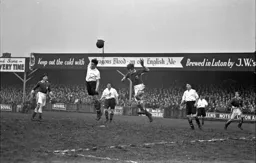 Gordon Turner rises highest