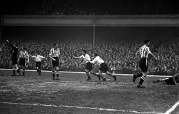 Jack Taylor turns in delight after scoring