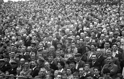 A section of the 20,231 crowd