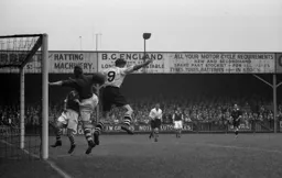Bernard Moore puts Rotherham keeper Bolton under pressure