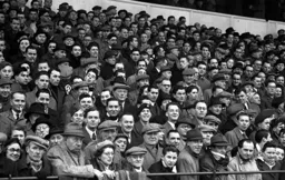 Some of the 21,991 crowd