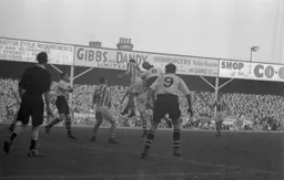 Dave Sexton (left), Bernard Moore (8) and Jesse Pye (9) put pressure on The Terriers defence