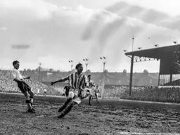 Gordon Turner looks at where the ball has gone