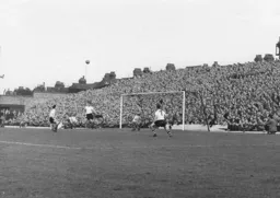 A well populated Kenilworth Road end for the opening game of the season