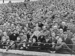 Some of the 20,108 crowd that hoped to see the Town embark on an FA Cup run. Sadly they were disappointed