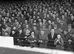 A lot of smiles on the faces of these fans in the Oak Road. They would have gone home pretty happy too