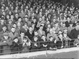 Some of the 27,439 crowd the highest of the season at home that watched the Town demolish Arsenal 4-0