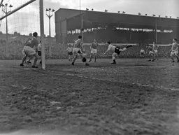 Allan Brown goes for a diving header