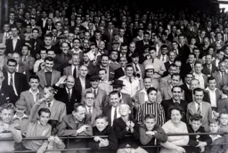 Is that striped shirt black and white