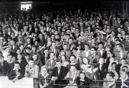 Rattles in the Oak Road end
