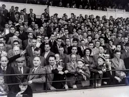 Enclosure supporters