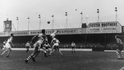 David Noake rises highest