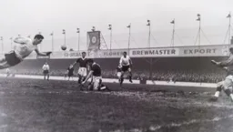 A flying header from David Noake