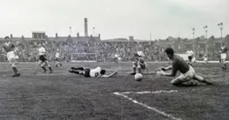 Alec Ashworth takes a tumble