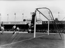Preston goalkeeper Alan Kelly collides with the goalpost