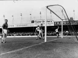 The ball is in the net.