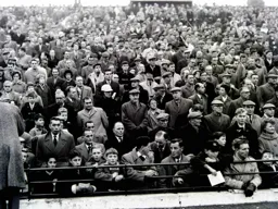 Kenilworth Road terraces