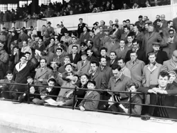 Ready for a five goal mauling