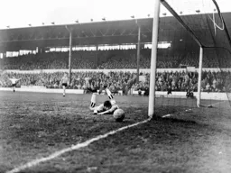 Newcastle keeper Dave Hollins pushes the ball round a post