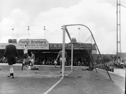 The ball is in the net for the only goal of the game