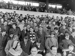 Anticipation in the enclosure