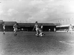 Appeals for a penalty