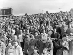 Taking in the spring sunshine