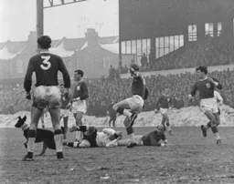 A dog joins in the fun