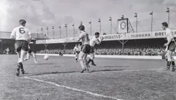 Everyone misses the ball